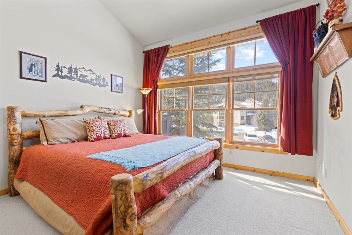 22 Snake River Road, Unit 13 Keystone, CO 80435 - Photo 24 of 47 Gallery Image 24