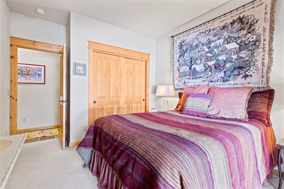 22 Snake River Road, Unit 13 Keystone, CO 80435 - Photo 37 of 47 Gallery Image 37