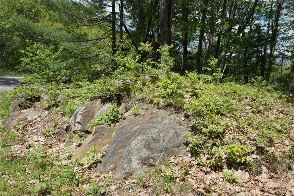 Lot 15 Main Road Phippsburg, ME 04562 - Photo 11 of 12 Photo