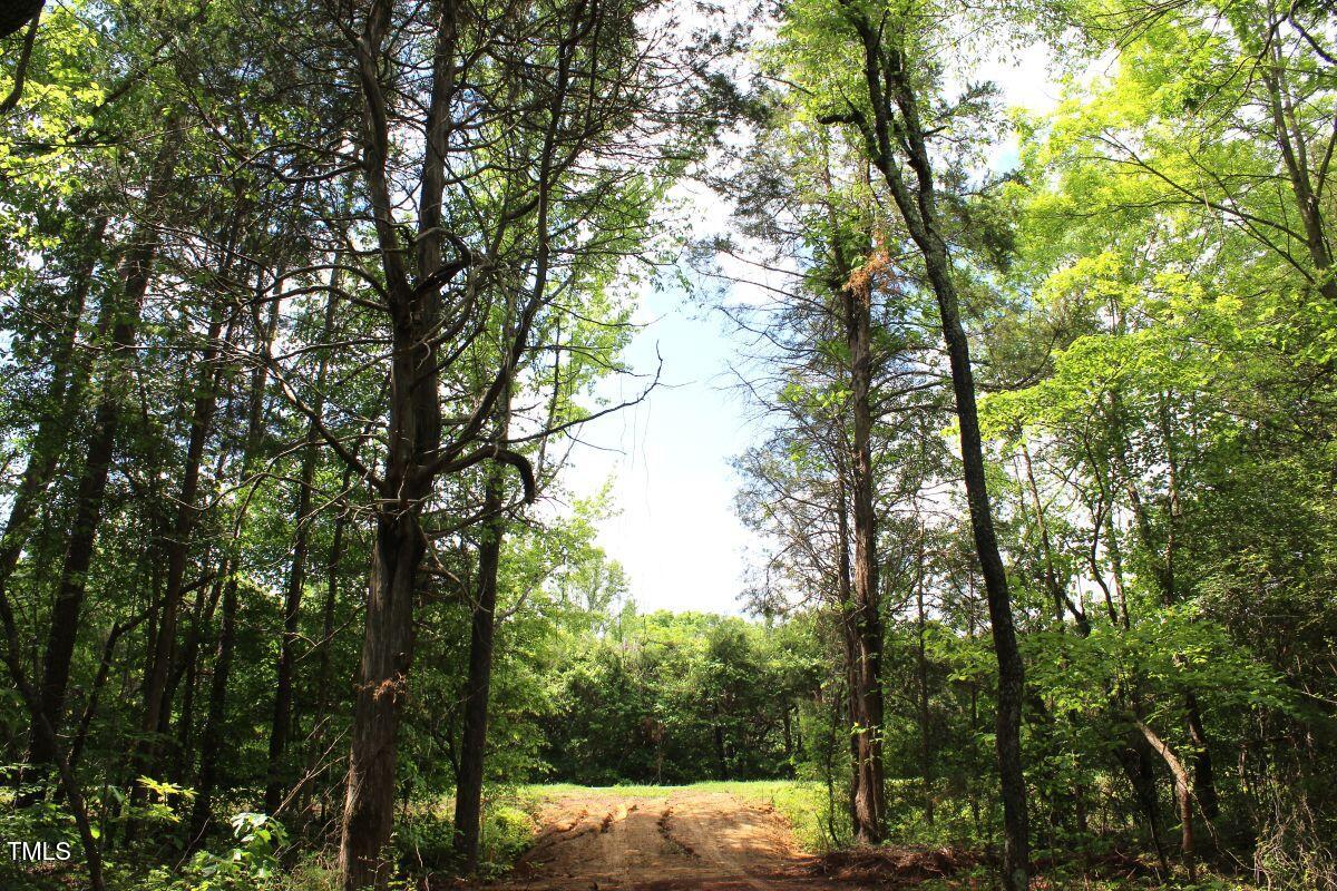 2 Longs Mill Road Blanch, NC 27212 - Photo 27 of 39 27