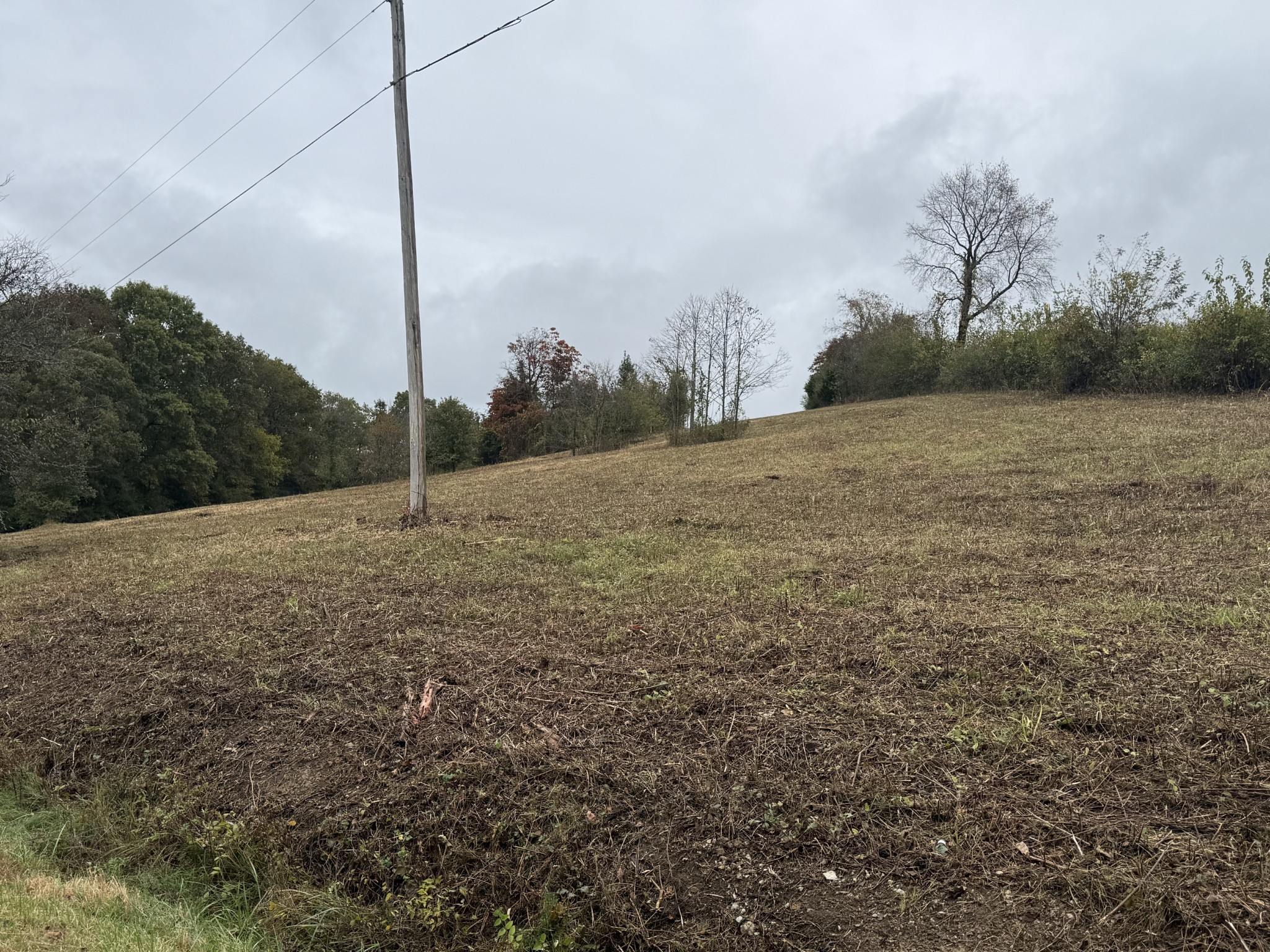 302 Holmes Gap Road Watertown, TN 37184 - Photo 3 of 8 a backyard of a house