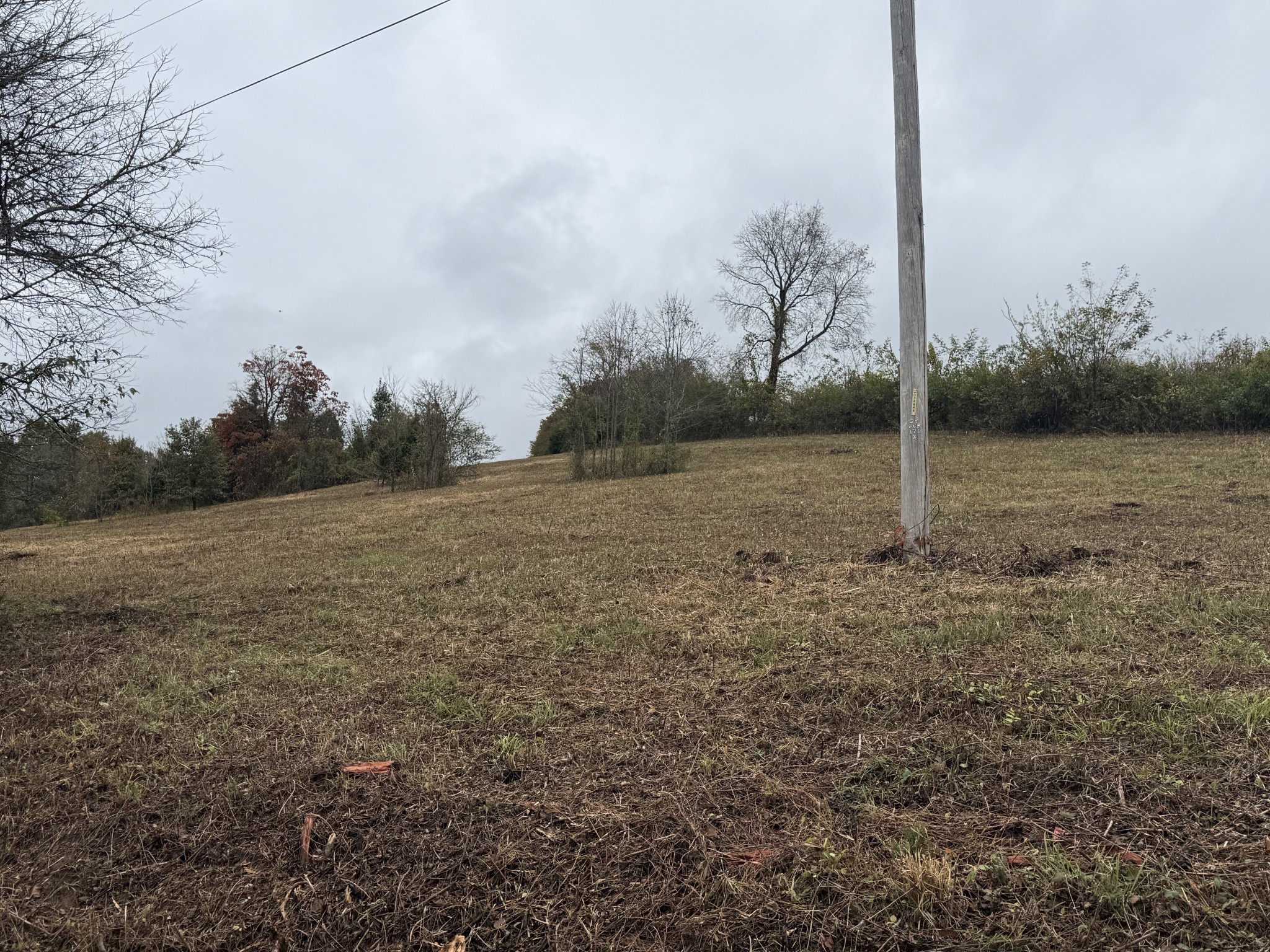 302 Holmes Gap Road Watertown, TN 37184 - Photo 4 of 8 a view of a field of grass and trees