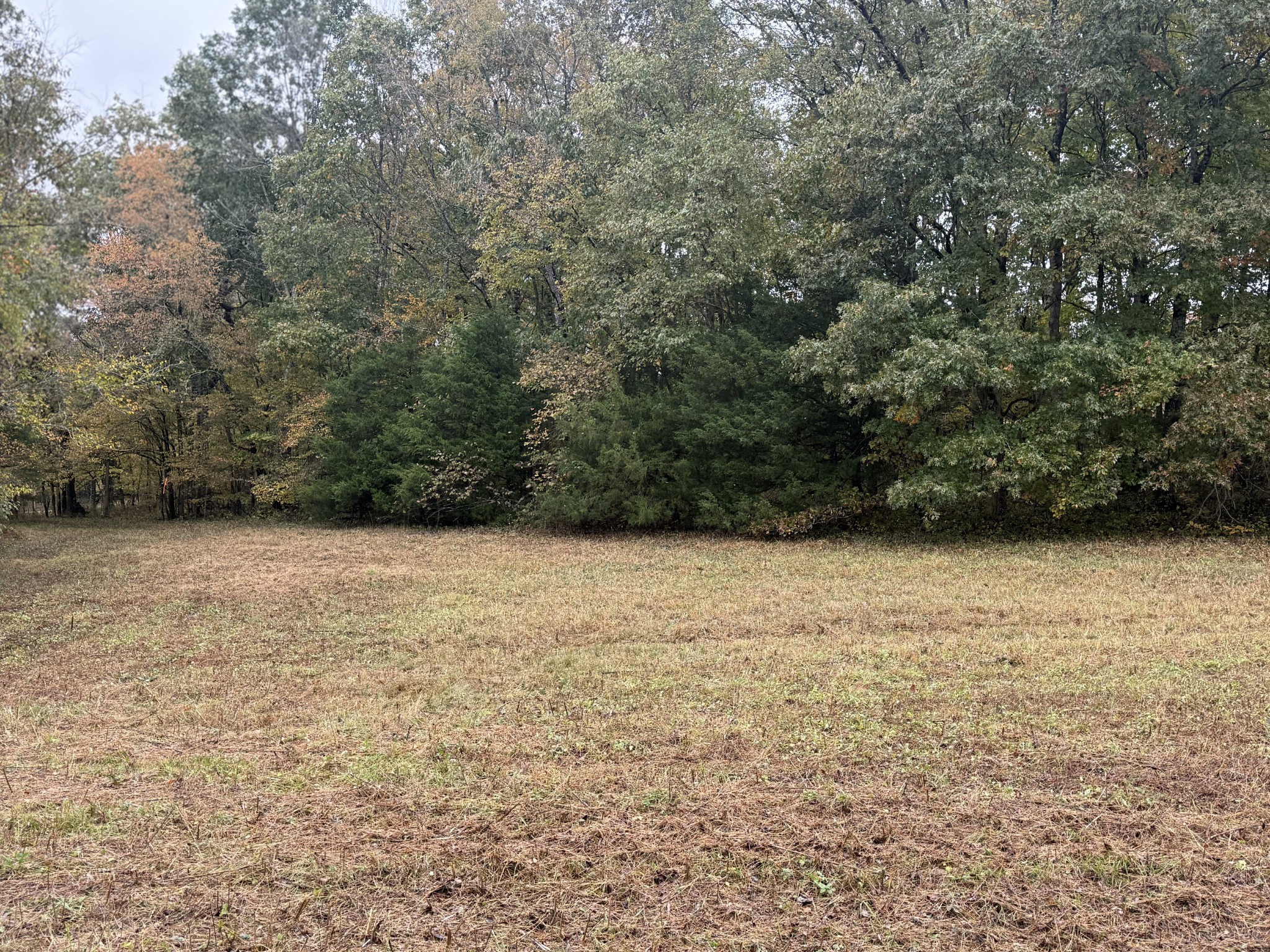 302 Holmes Gap Road Watertown, TN 37184 - Photo 5 of 8