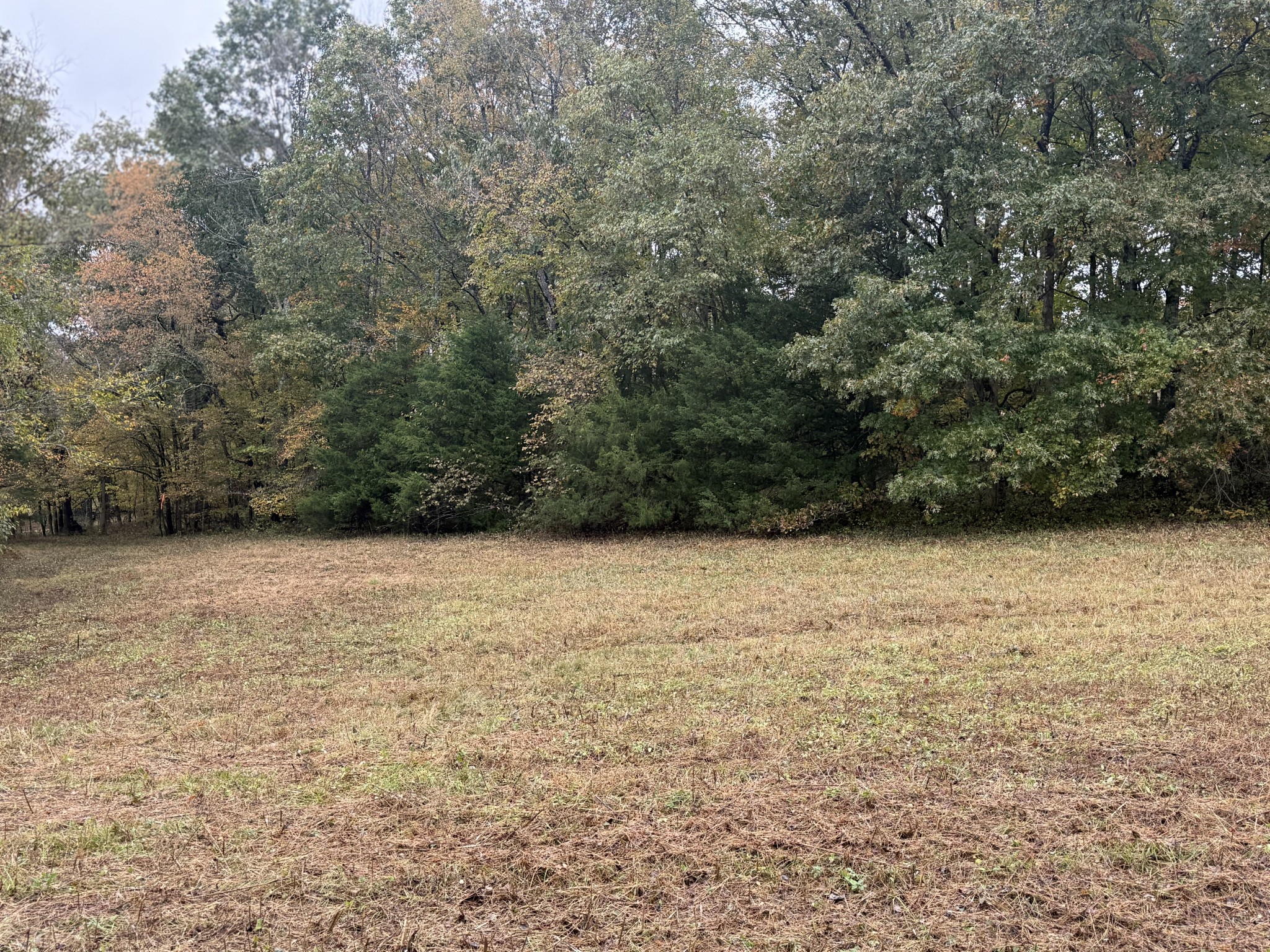 302 Holmes Gap Road Watertown, TN 37184 - Photo 6 of 8 a view of empty and green space