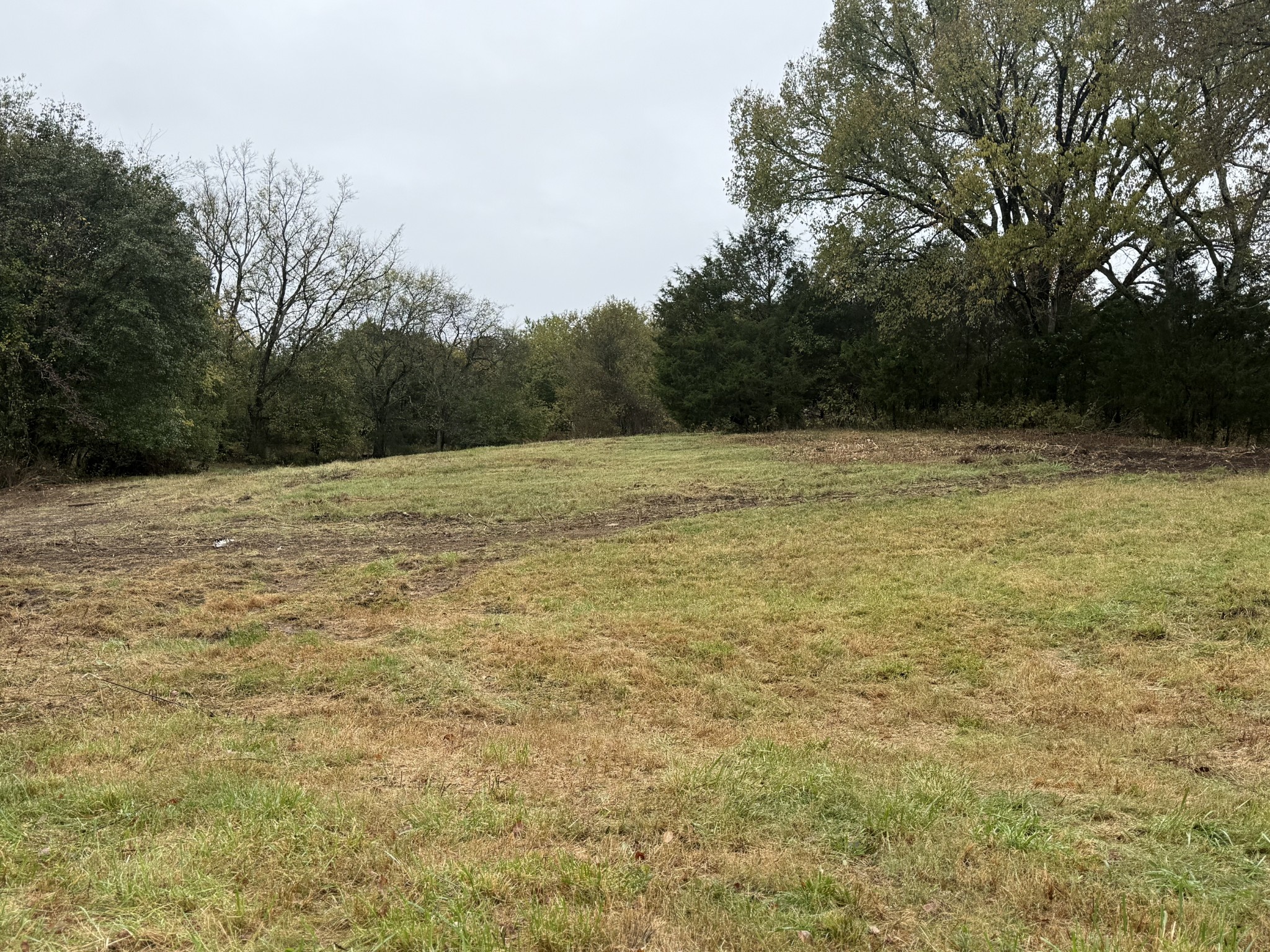 302 Holmes Gap Road Watertown, TN 37184 - Photo 7 of 8 a view of a lake view