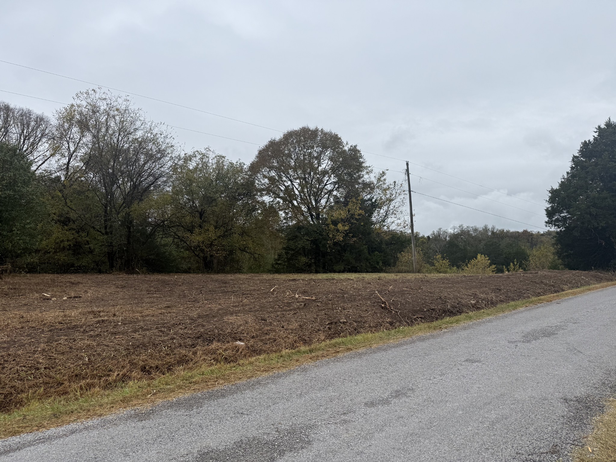 302 Holmes Gap Road Watertown, TN 37184 - Photo 8 of 8 a view of a field with trees