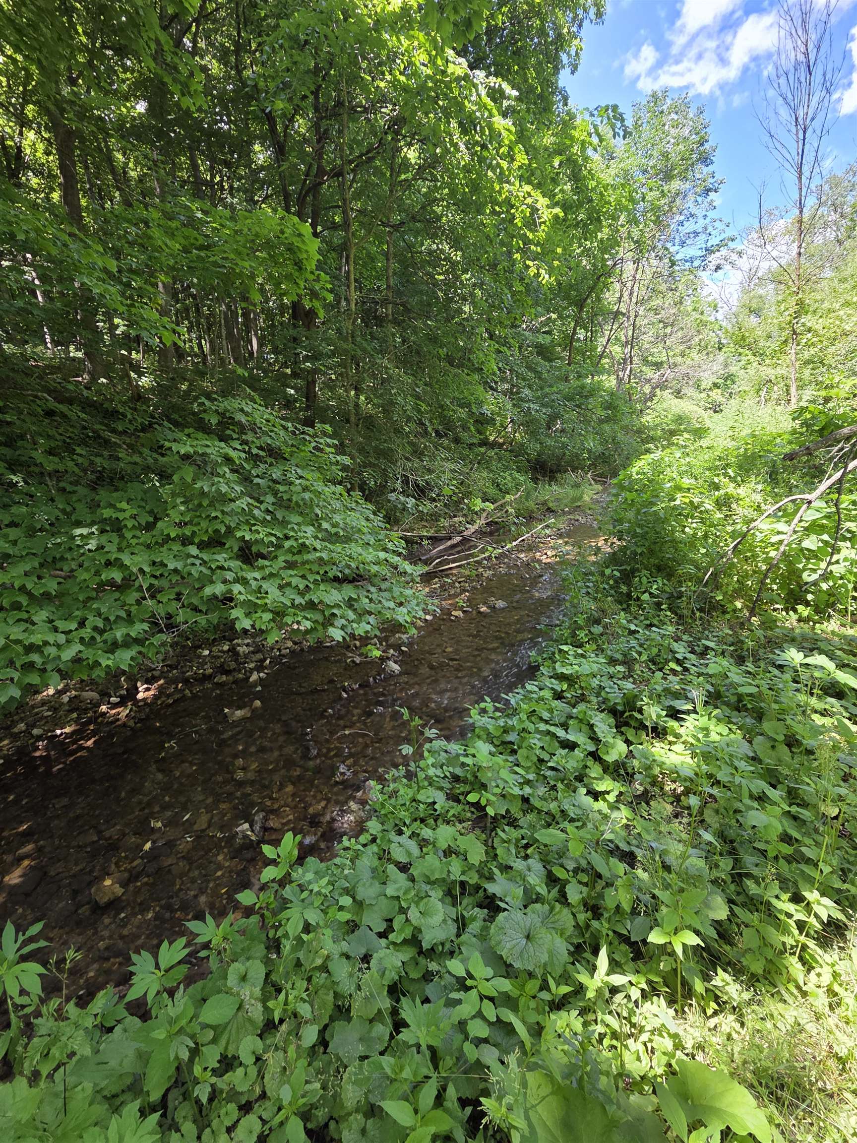13035 Canyon Falls Road Mount Hope, WI 53816 - Photo 42 of 61