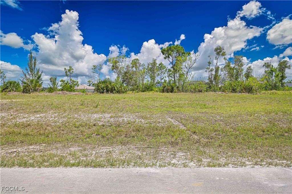 2002 Northwest 27th Street Cape Coral, FL 33993 - Photo 4 of 9 a view of a big yard