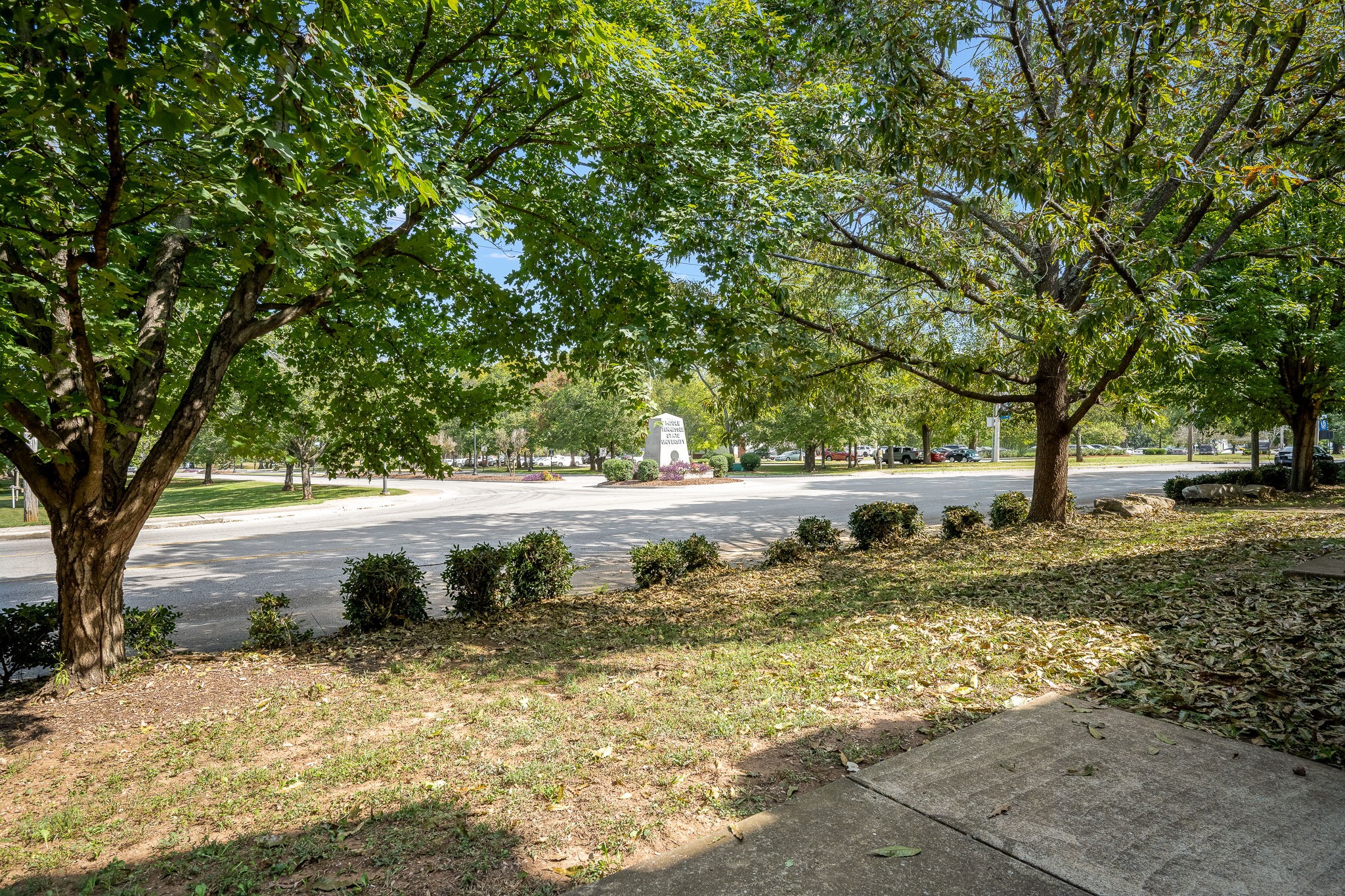 105 4th Avenue, Unit 105 Murfreesboro, TN 37130 - Photo 4 of 47