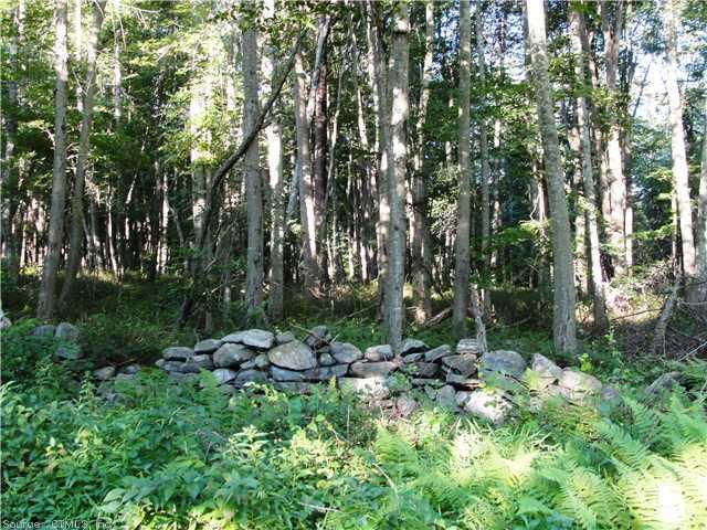0 Hamburg Road Lyme, CT 06371 - Photo 1 of 1 Land/Lot.