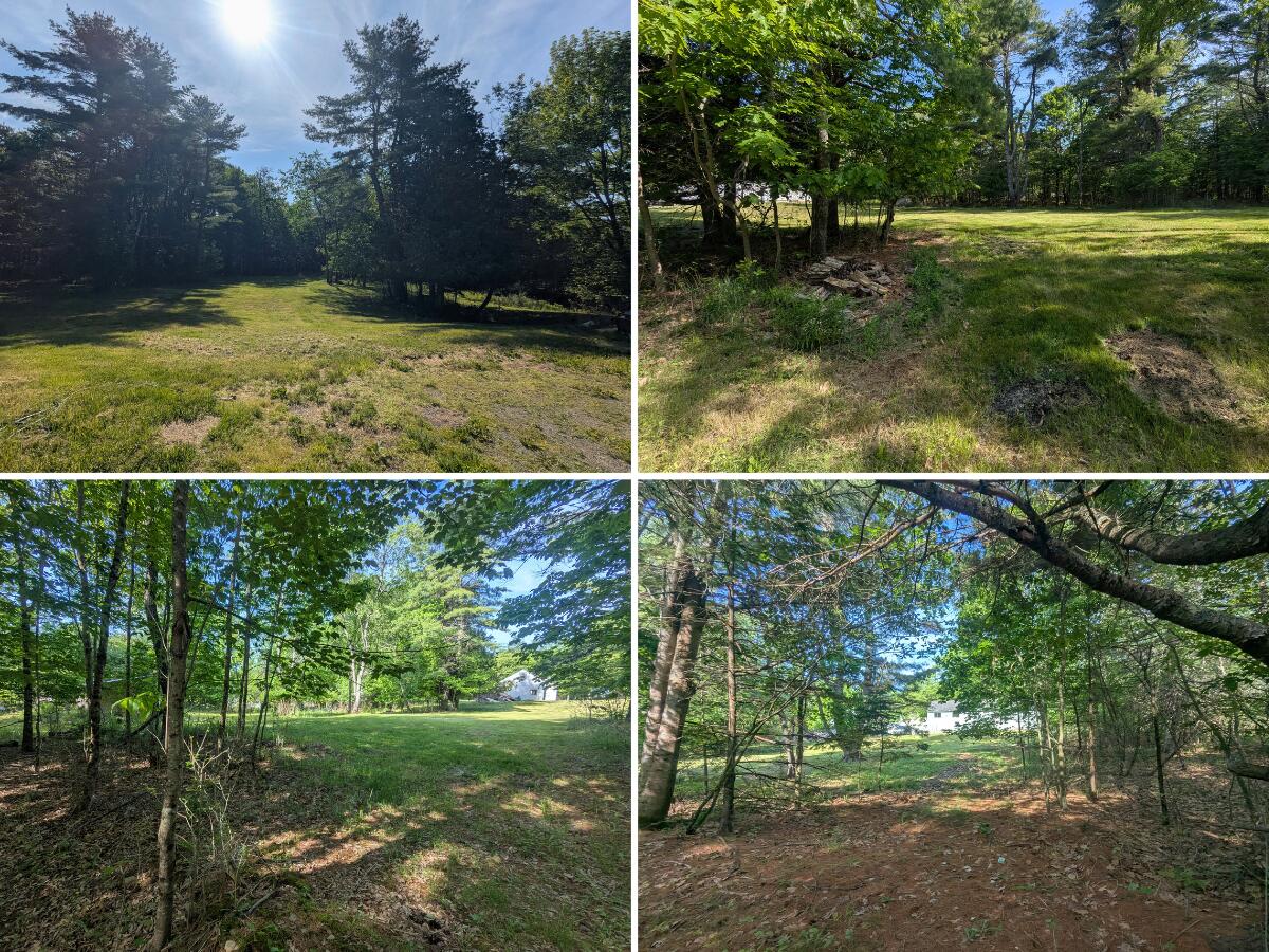 537 Millvale Road Bucksport, ME 04416 - Photo 49 of 58 Wooded Back Lot