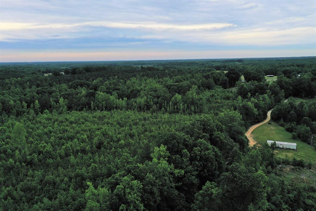 3567 Poorhouse Road Victoria, VA 23974 - Photo 22 of 39 Gallery Image 22