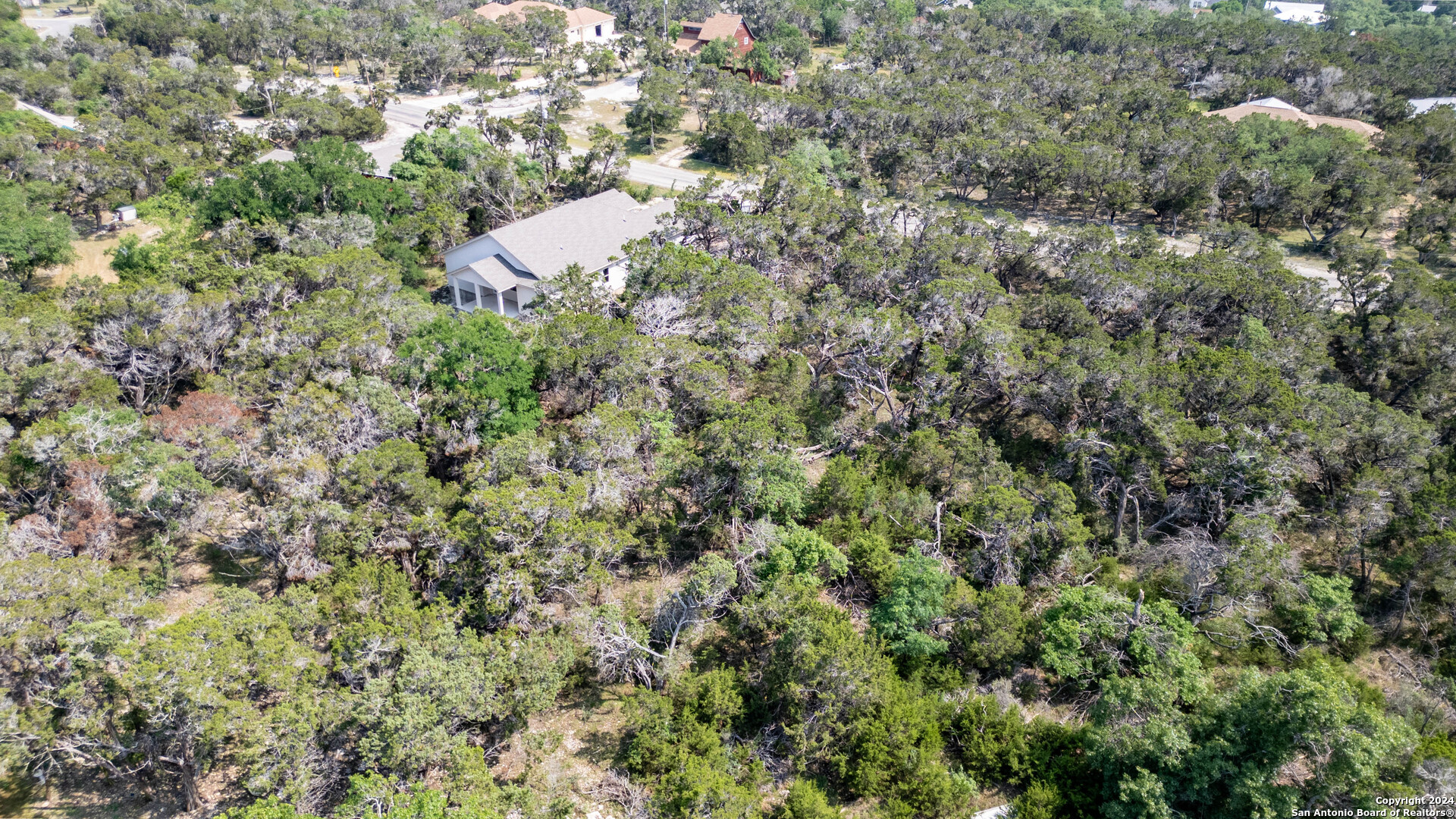 6136 Tanglewood Trail Spring Branch, TX 78070 - Photo 9 of 22