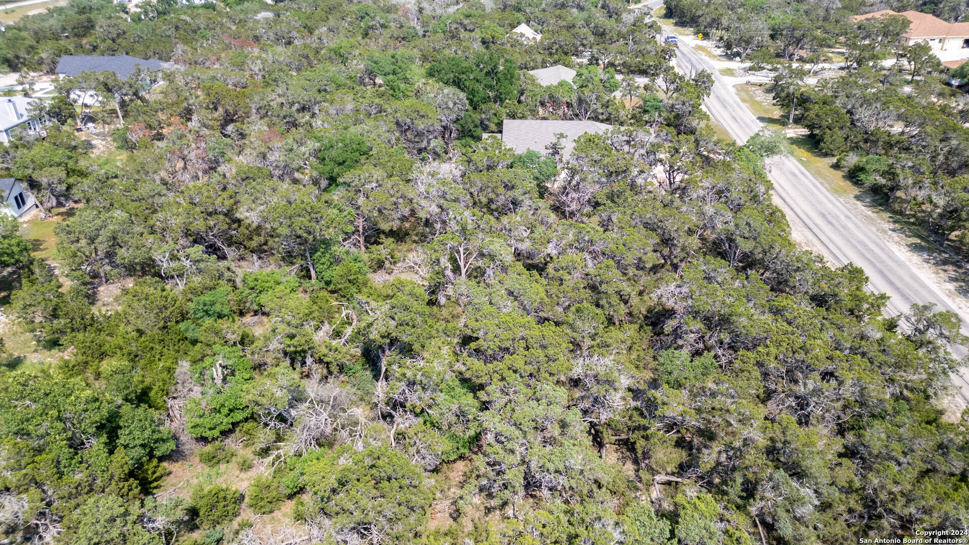 6136 Tanglewood Trail Spring Branch, TX 78070 - Photo 10 of 22