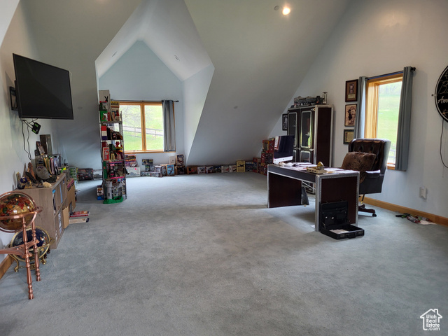 1406 South Bartholomew Cyn Road Springville, UT 84663 - Photo 12 of 19 Carpeted home office with vaulted ceiling