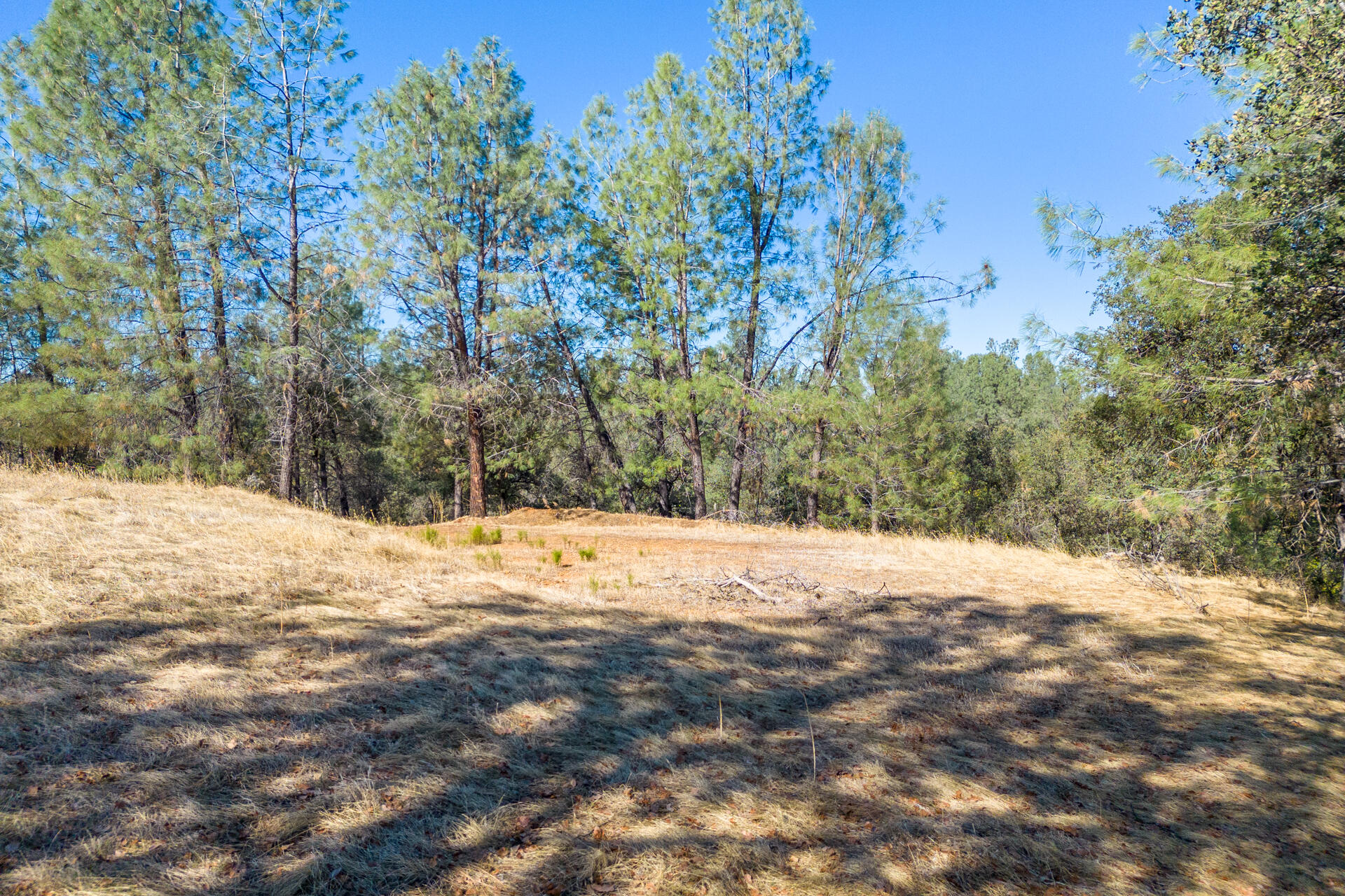 Richards Way Anderson, CA 96007 - Photo 12 of 34 a view of empty space and tree
