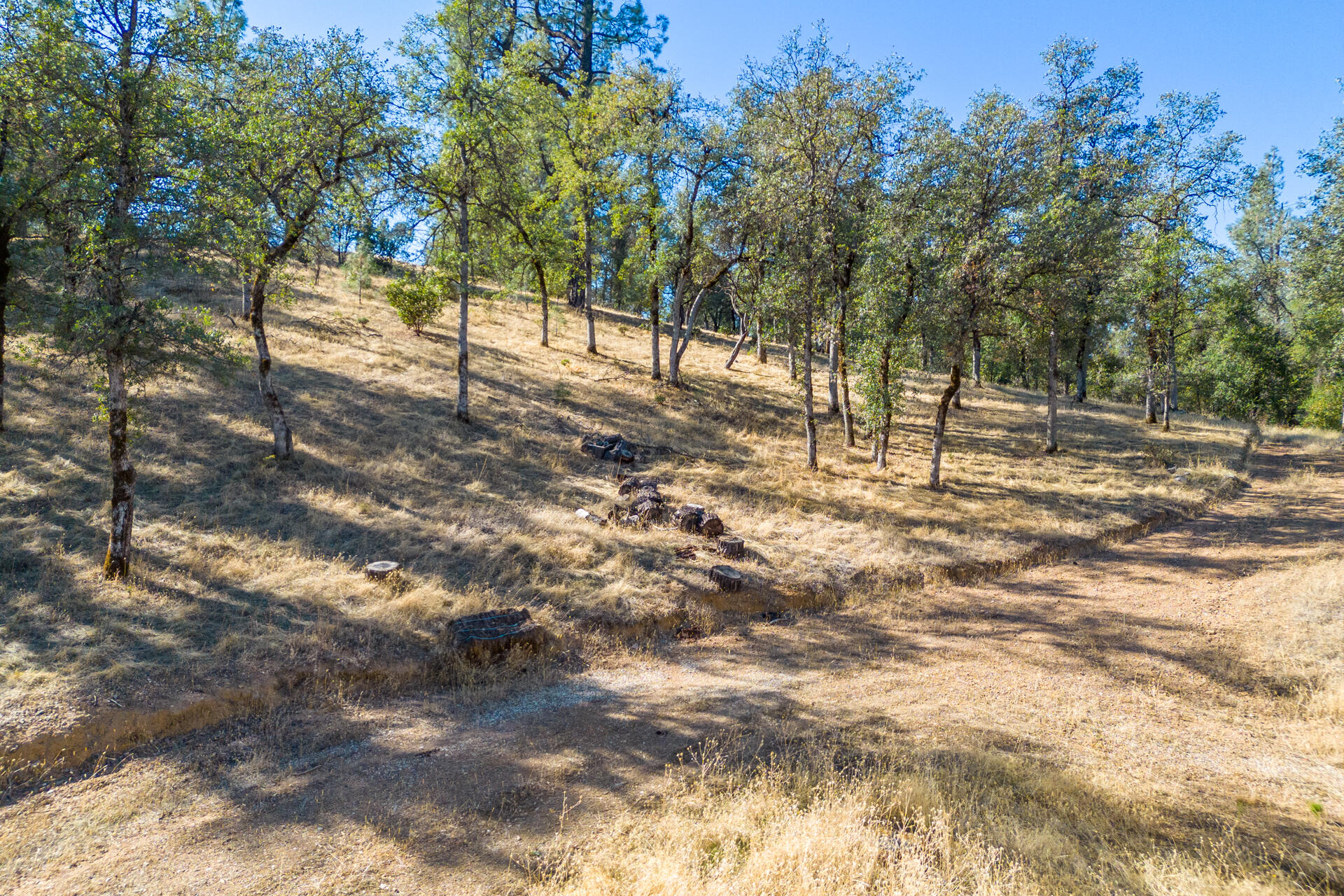 Richards Way Anderson, CA 96007 - Photo 13 of 34 a view of backyard with green space