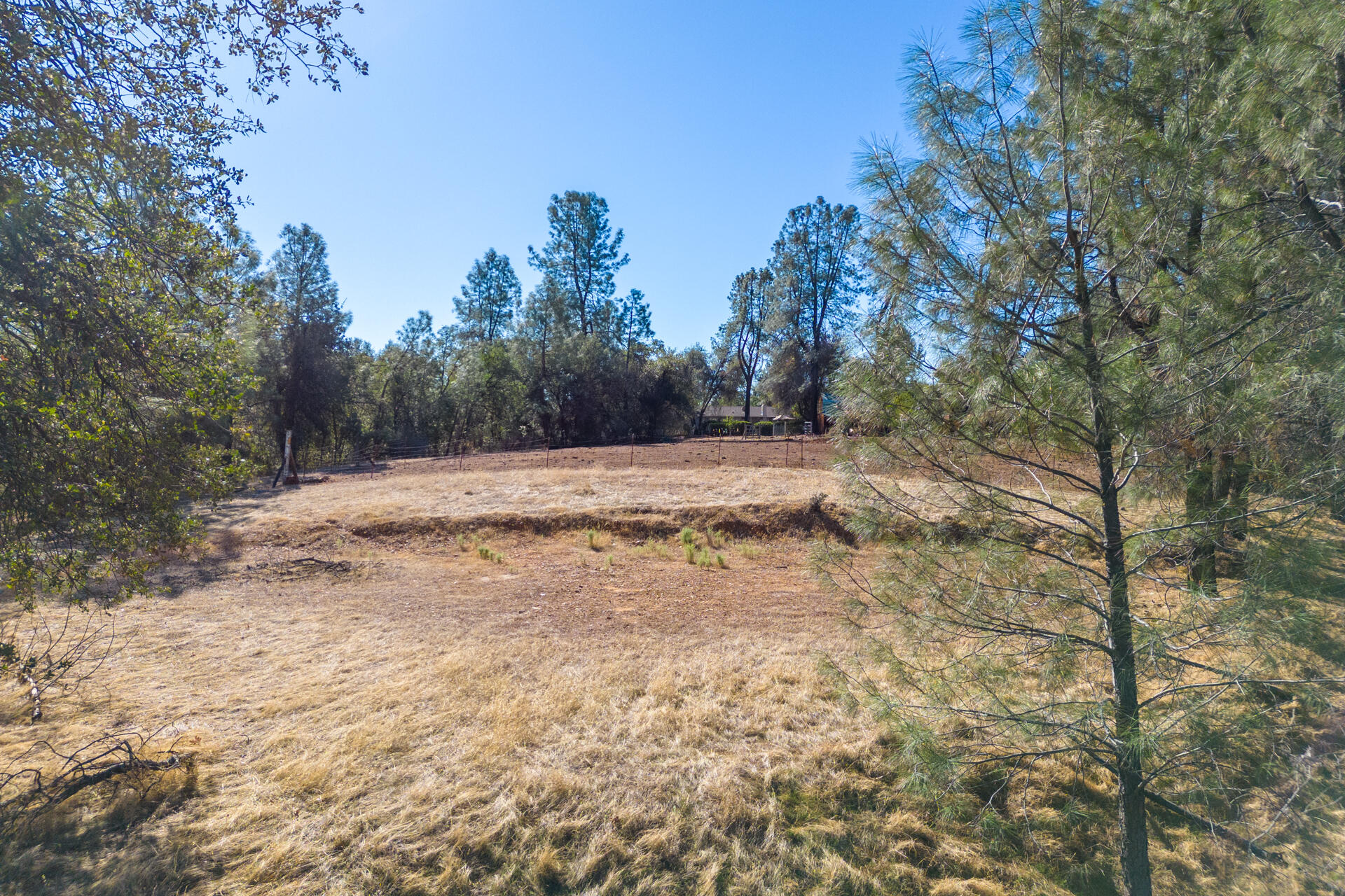 Richards Way Anderson, CA 96007 - Photo 19 of 34 a view of dirt field with trees in the background