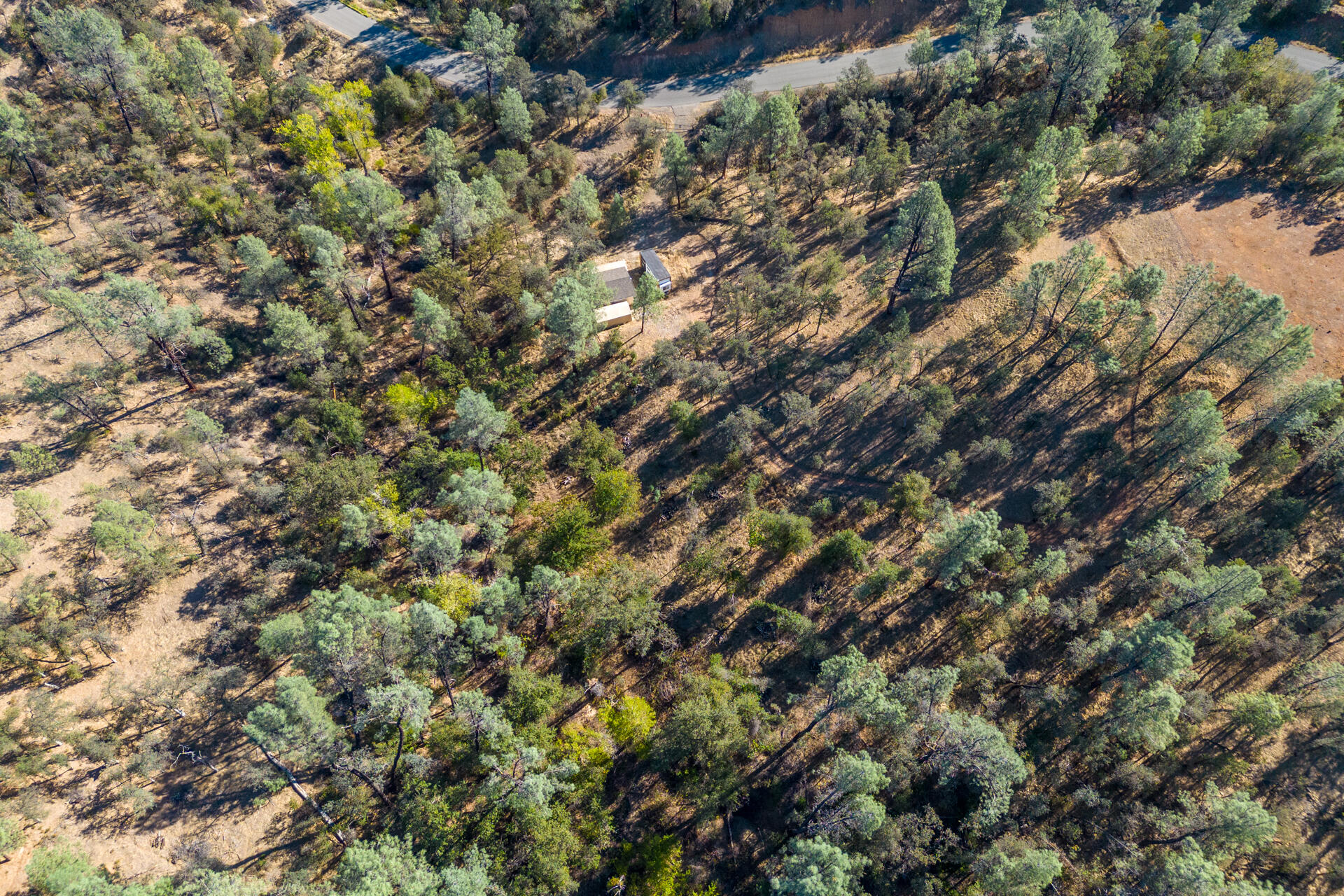 Richards Way Anderson, CA 96007 - Photo 21 of 34 a view of a tree