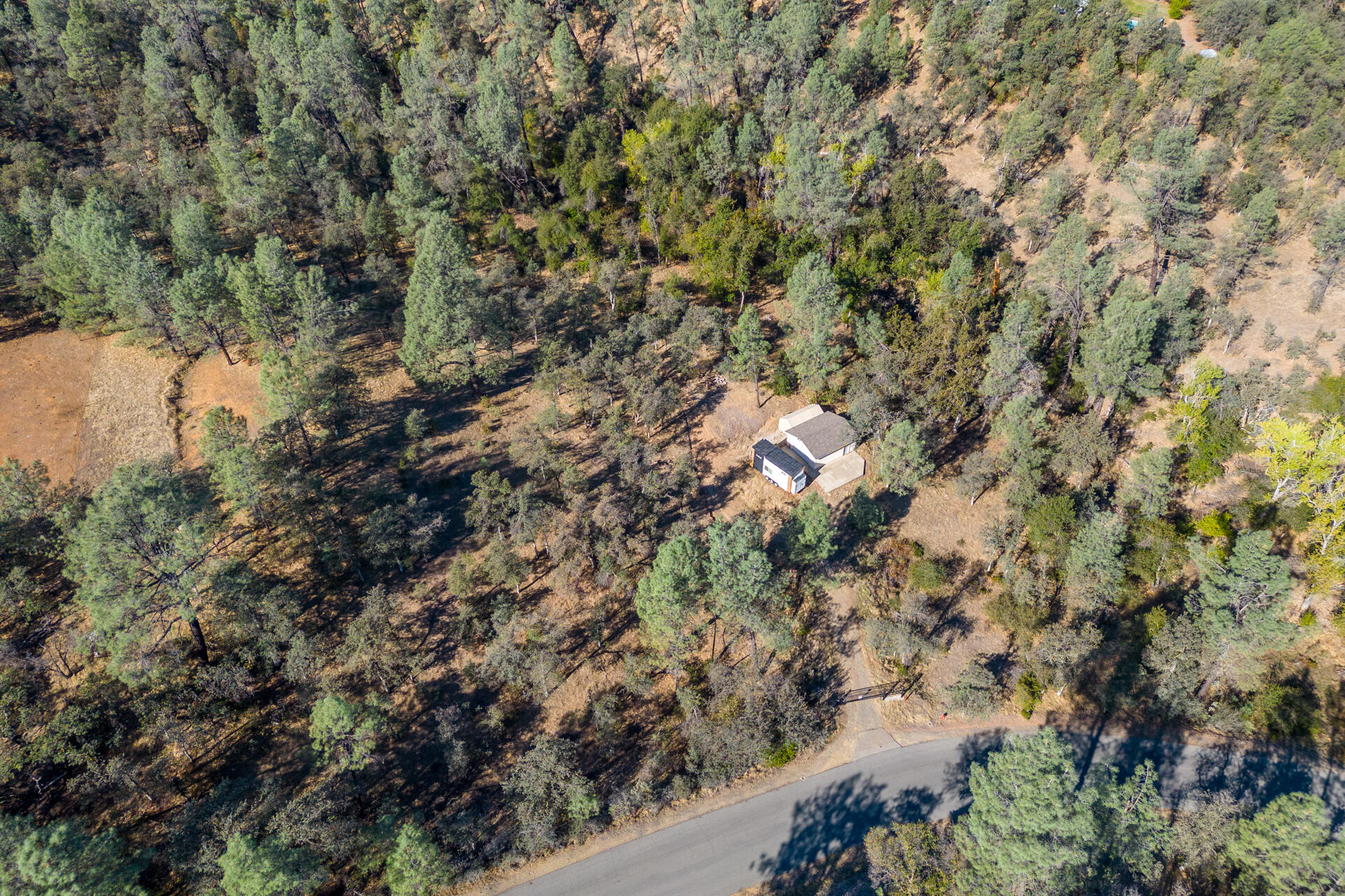 Richards Way Anderson, CA 96007 - Photo 25 of 34 a view of a forest with a tree