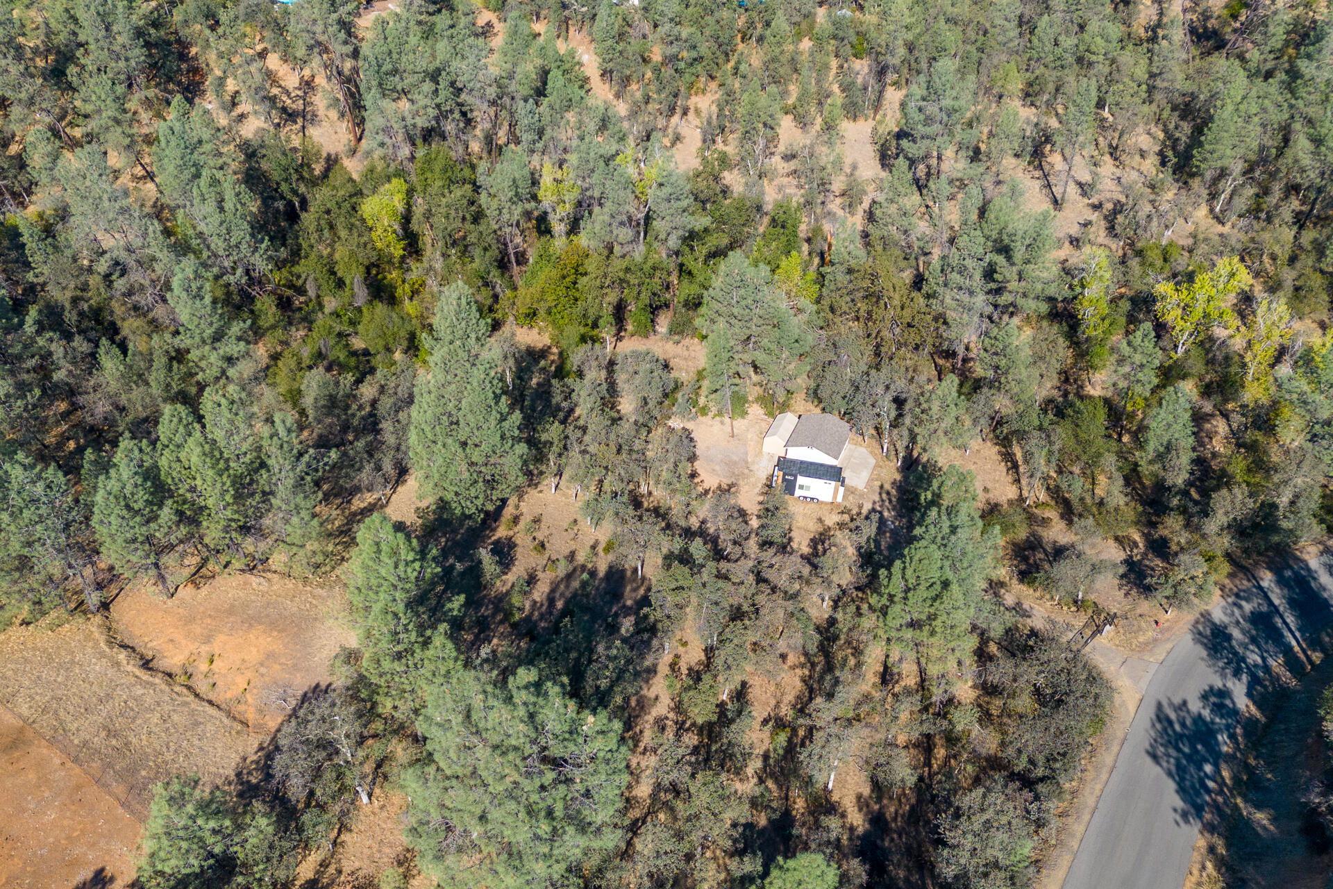 Richards Way Anderson, CA 96007 - Photo 26 of 34 a view of a yard with a tree