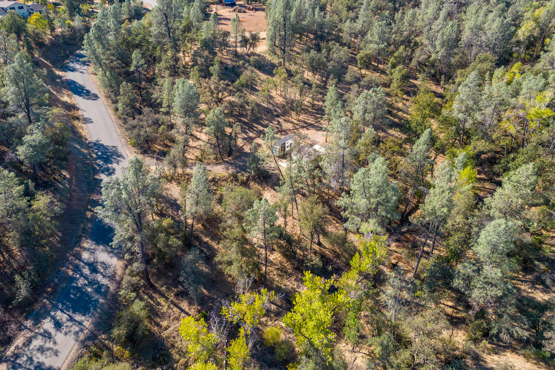 Richards Way Anderson, CA 96007 - Photo 28 of 34 a view of a tree