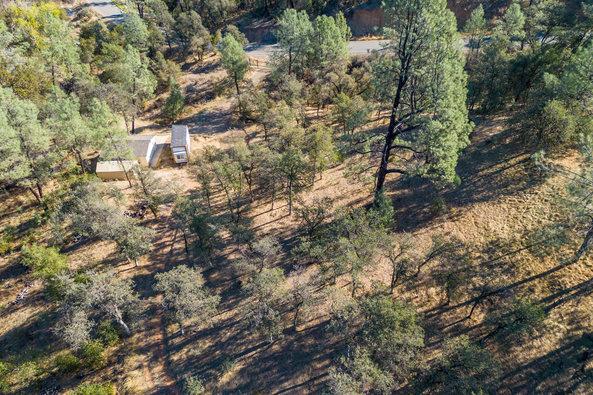 Richards Way Anderson, CA 96007 - Photo 30 of 34 a view of a forest with a tree