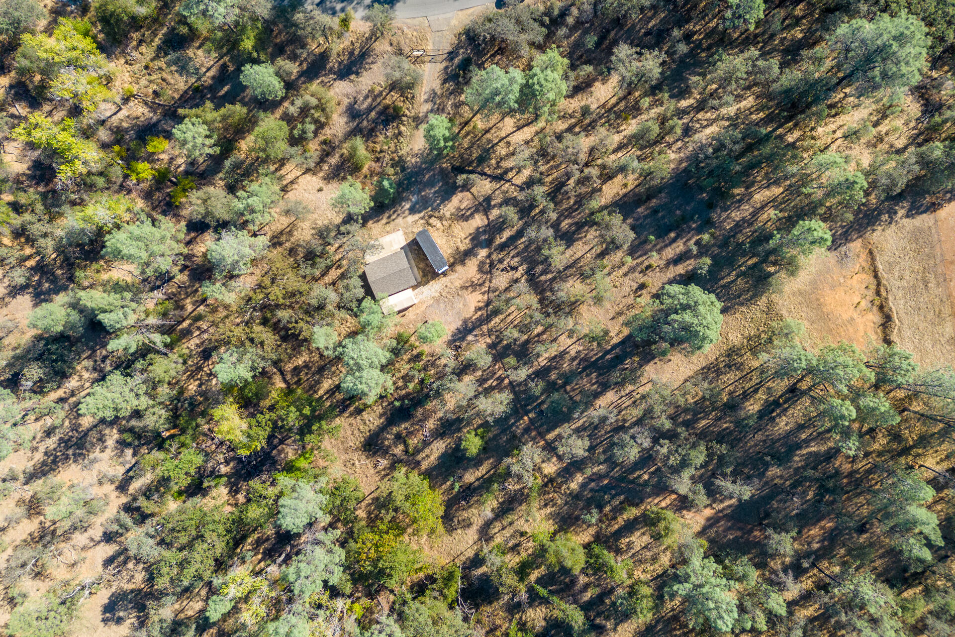 Richards Way Anderson, CA 96007 - Photo 34 of 34 a view of a tree