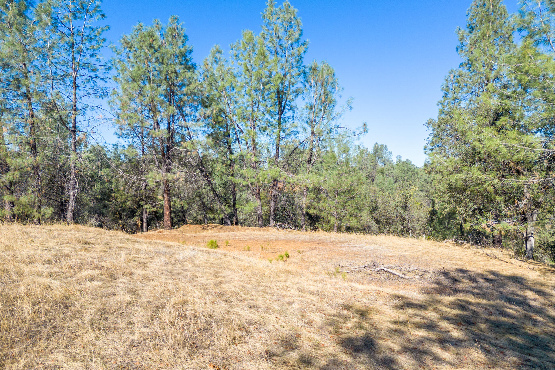 Richards Way Anderson, CA 96007 - Photo 8 of 34