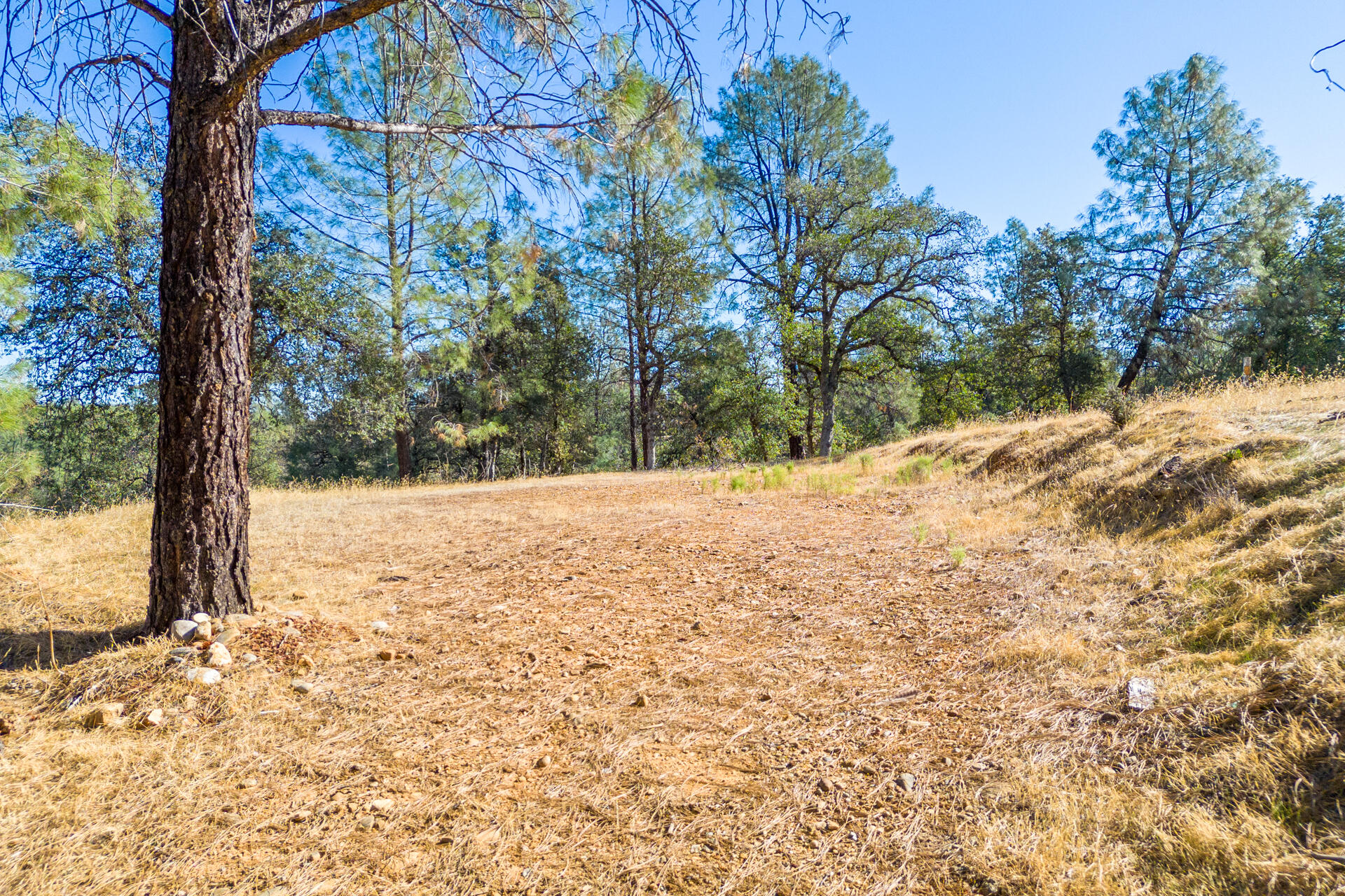Richards Way Anderson, CA 96007 - Photo 9 of 34 a view of yard covered with snow in front of house