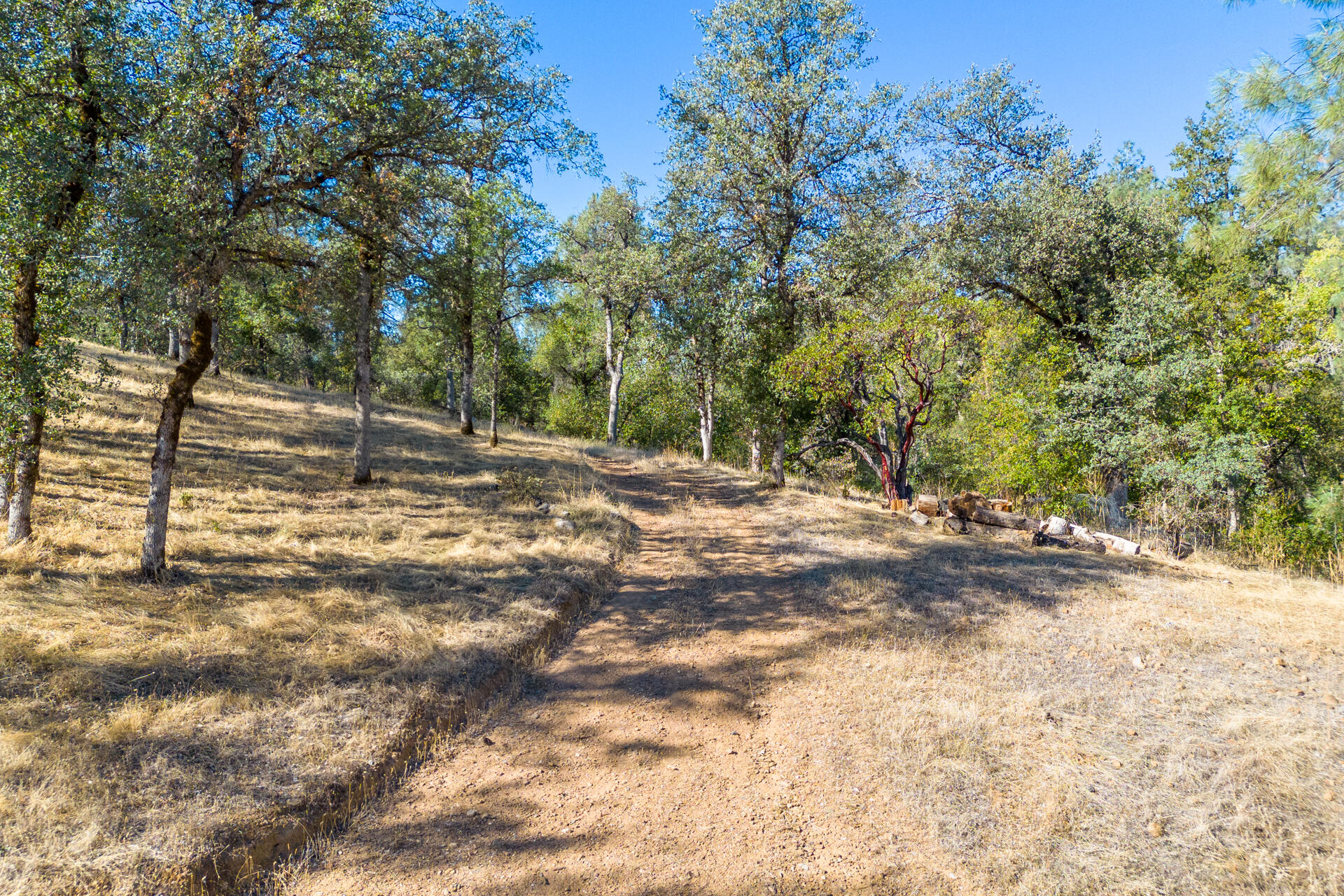 Richards Way Anderson, CA 96007 - Photo 10 of 34 a view of outdoor space with trees