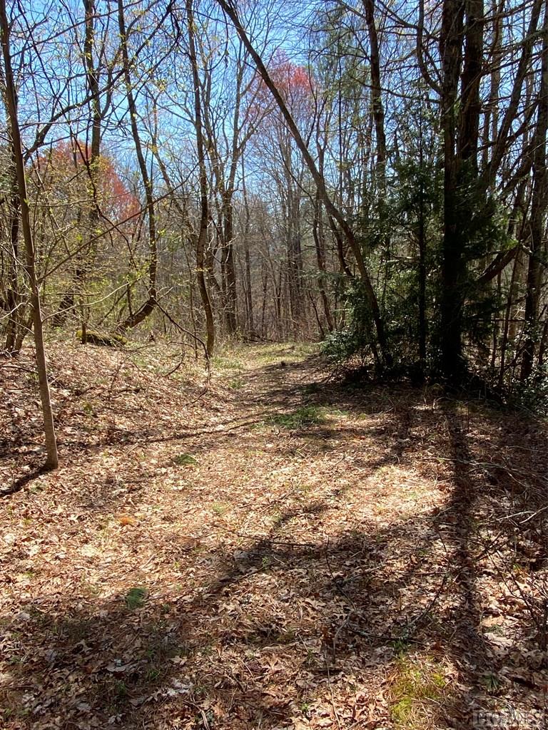 0 Salt Rock Road Highlands, NC 28741 - Photo 7 of 21 Gallery Image 7
