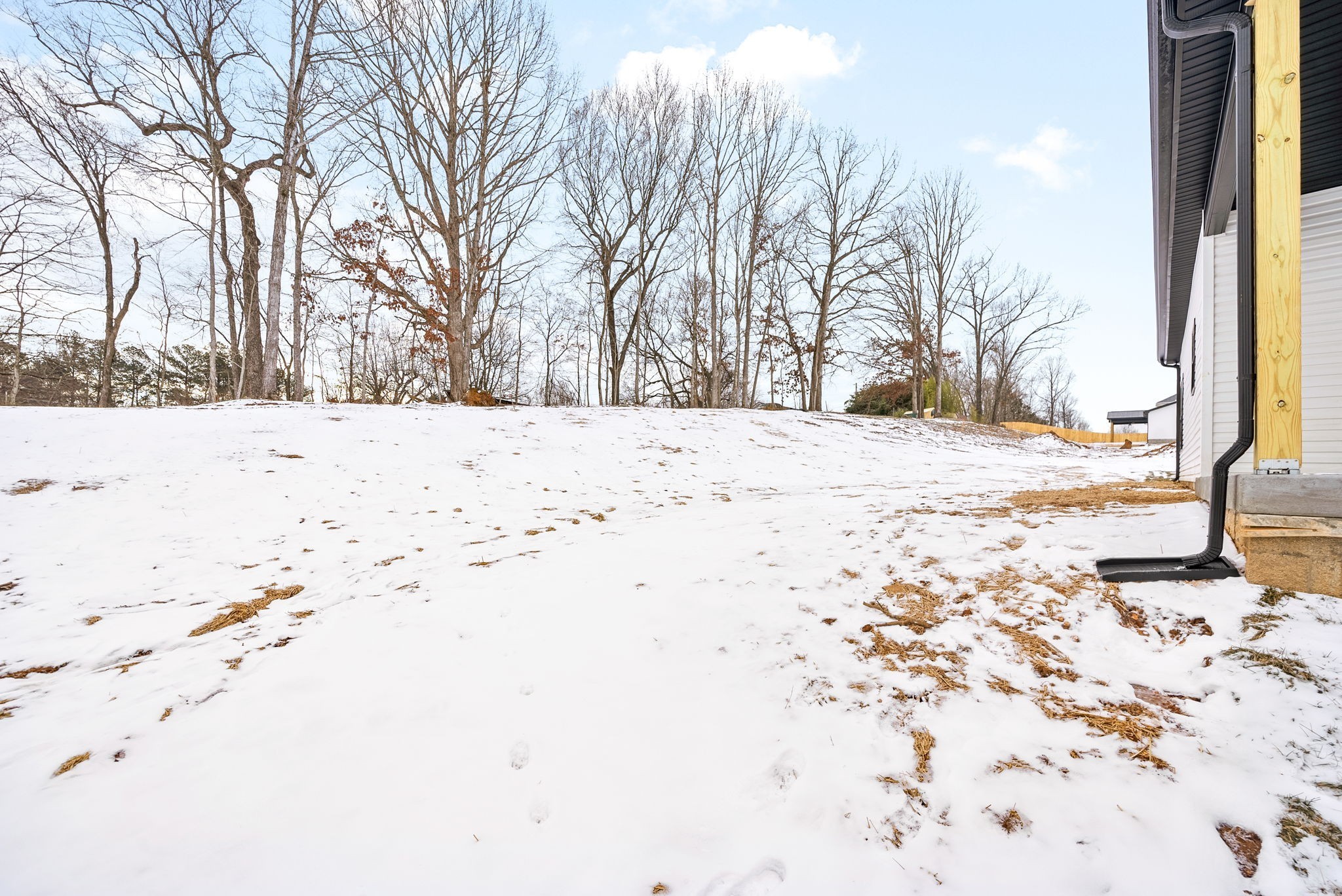 217 Wayne Hall Road Clarksville, TN 37040 - Photo 33 of 36 a view of a backyard of snow on the road