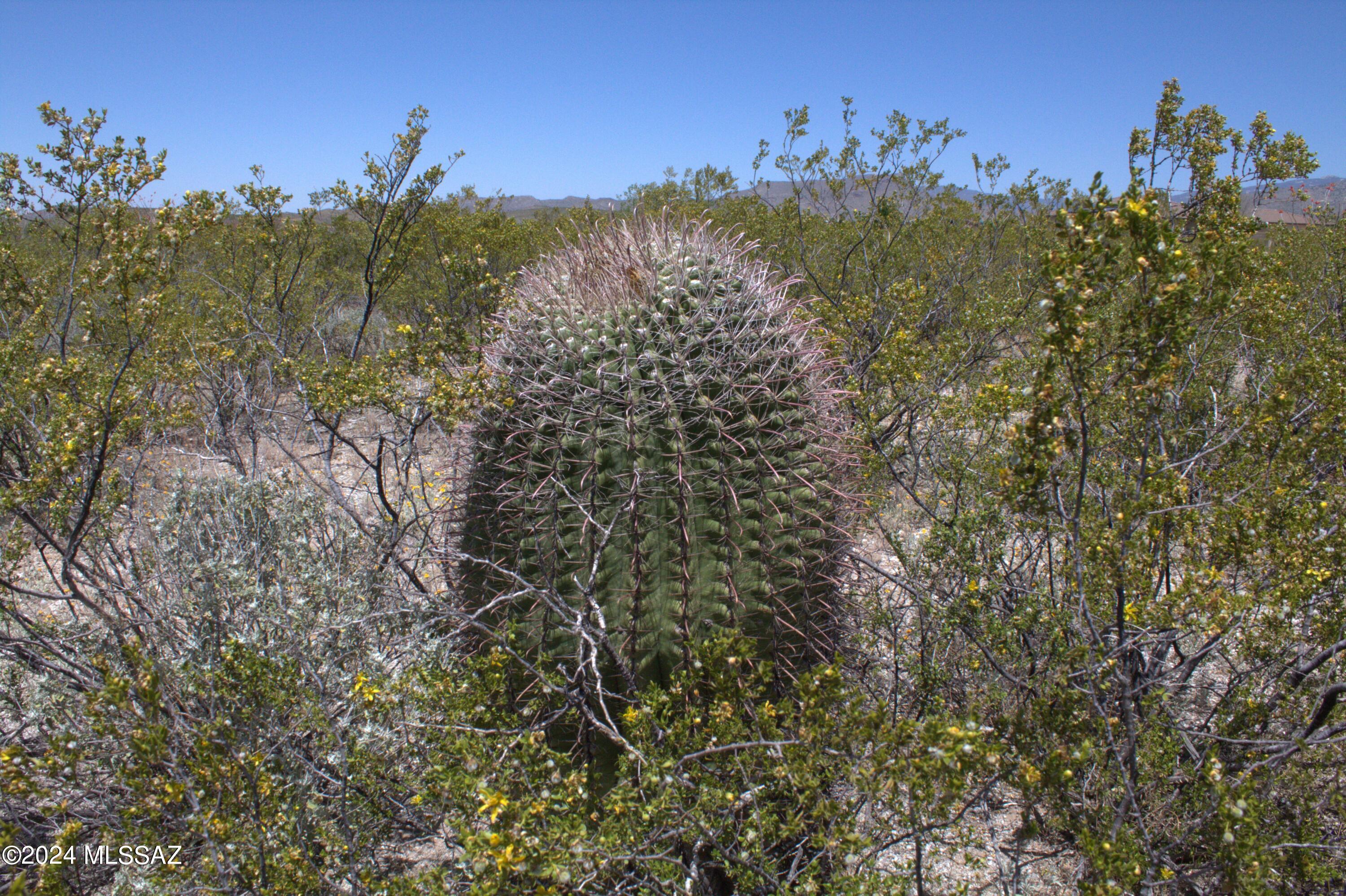 Tbd South Taurus Place Vail, AZ 85641 - Photo 13 of 30