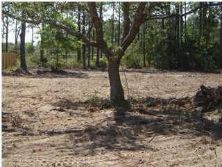 1987 Guseman Road Gulf Breeze, FL 32563 - Photo 1 of 6 Private Lot