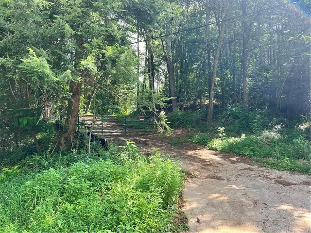 a backyard of a house with lots of green space and trees