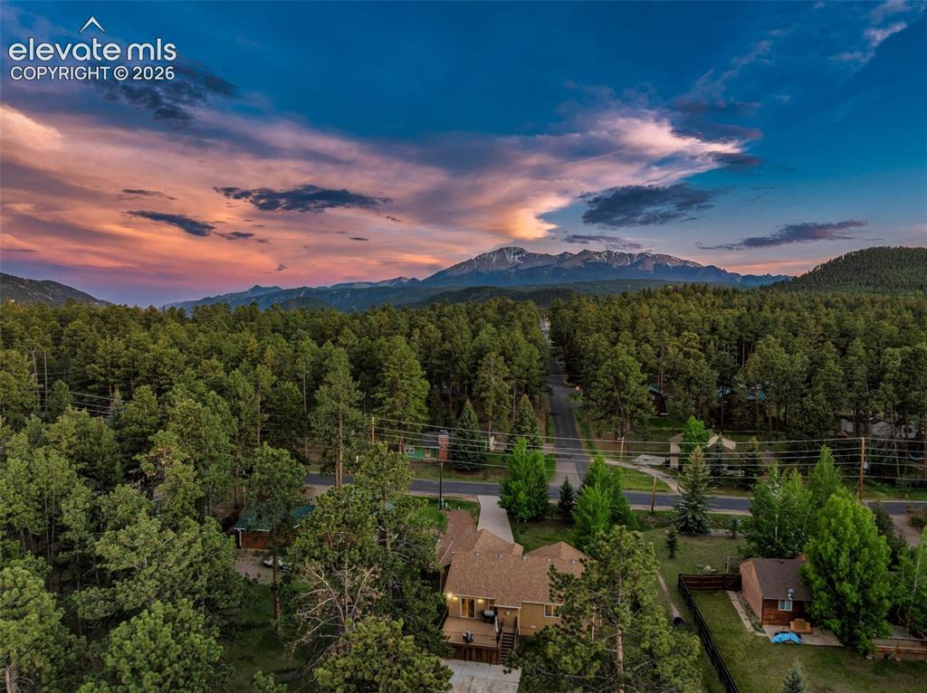 500 County Road Woodland Park, CO 80863 - Photo 5 of 47
