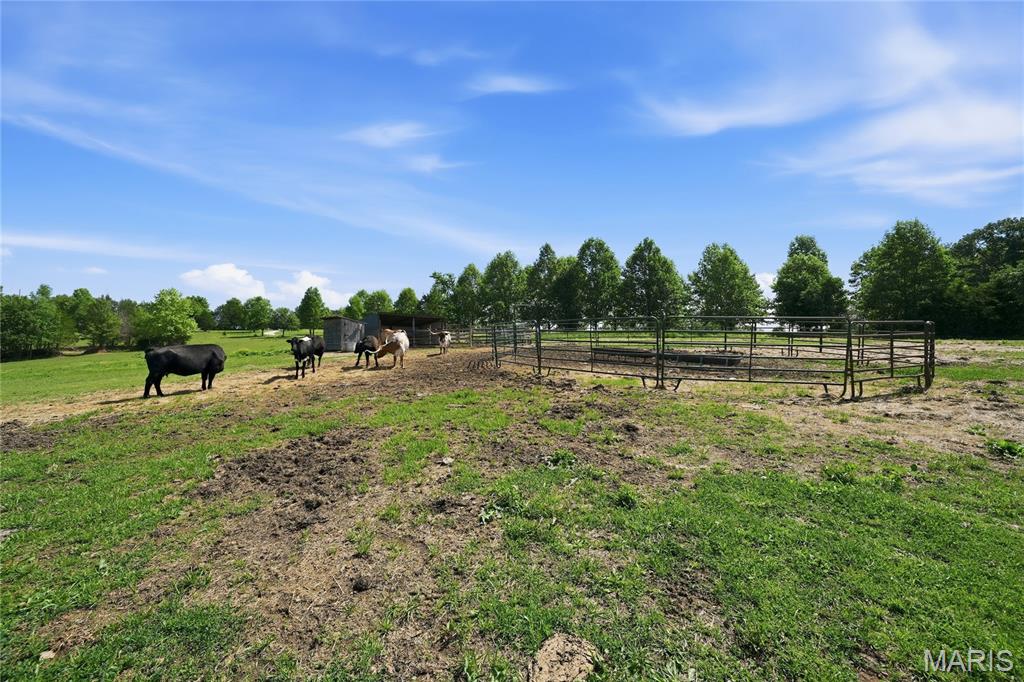 7816 Rye Creek Road St. Clair, MO 63077 - Photo 58 of 80