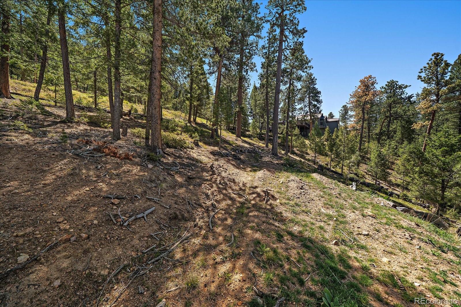 6875 Lynx Lair Road Evergreen, CO 80439 - Photo 7 of 21
