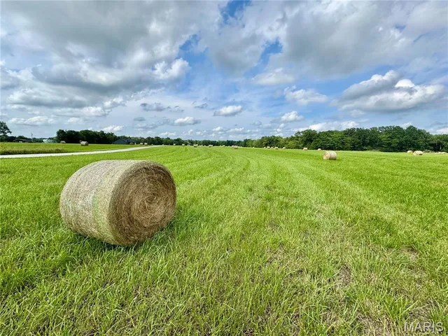 $67,500 | Lot 17 Black Oak Road, Maywood, MO 63454