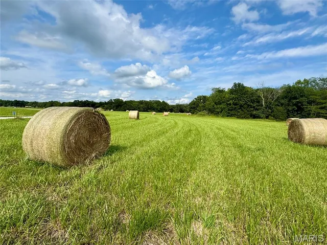 $67,500 | Lot 17 Black Oak Road, Maywood, MO 63454