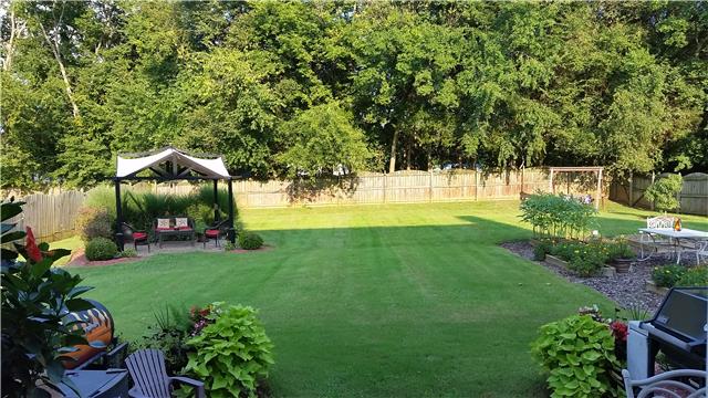 1420 Ripken Court Murfreesboro, TN 37129 - Photo 5 of 14 Wonderful Back Yard