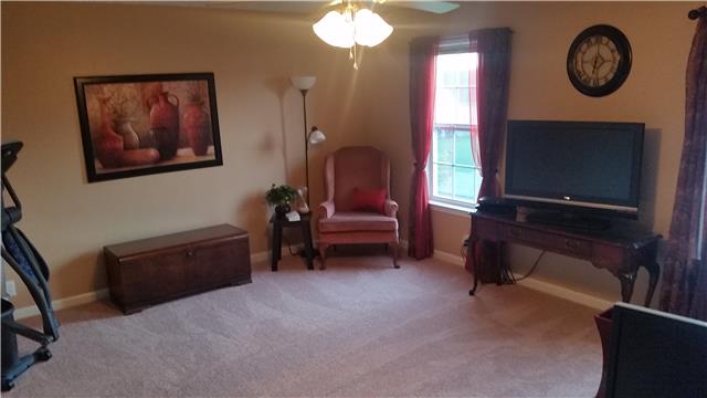 1420 Ripken Court Murfreesboro, TN 37129 - Photo 10 of 14 Bonus Room