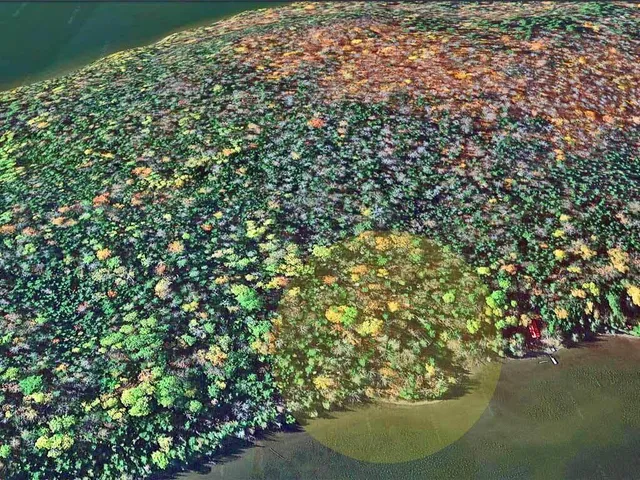 $59,500 | Lot 19-21 Oak Point Trail, Portage, ME 04768