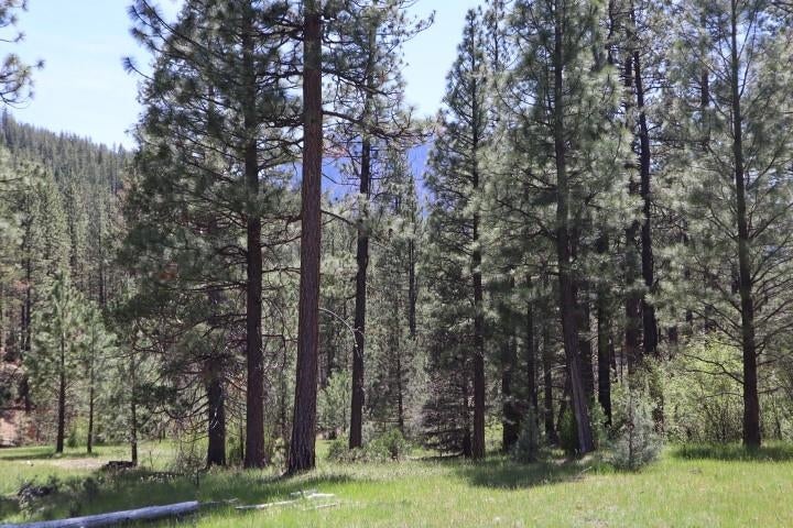 0 Masterson Road Gazelle, CA 96034 - Photo 11 of 26 Gallery Image 11