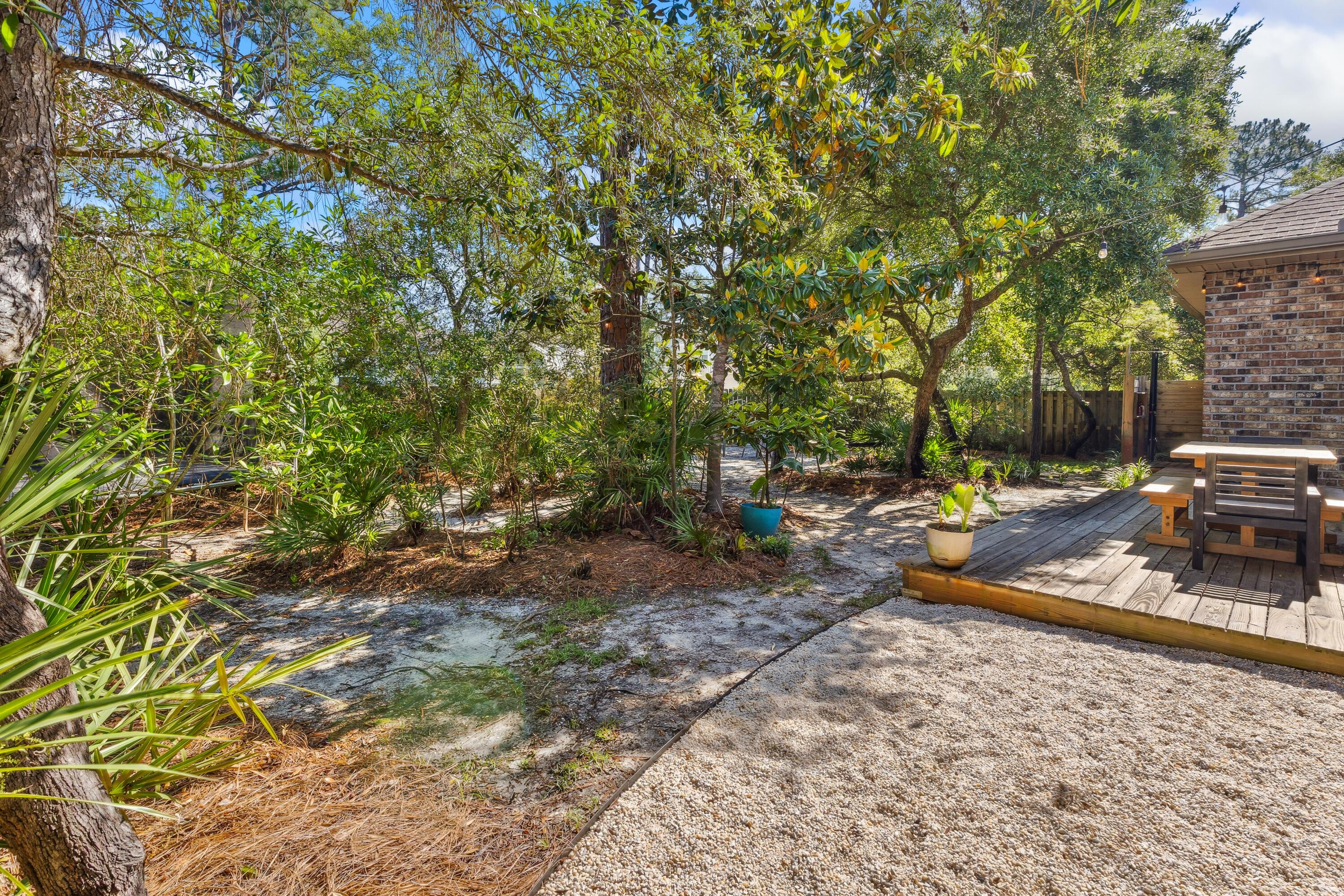 209 Forest Park Drive Santa Rosa Beach, FL 32459 - Photo 33 of 49 a view of a backyard with plants and trees