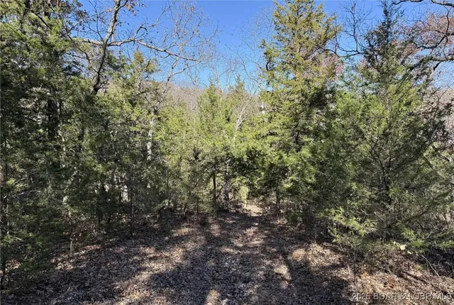 $59,900 | 11.8-acres Whitetail Way, Lincoln, MO 65338