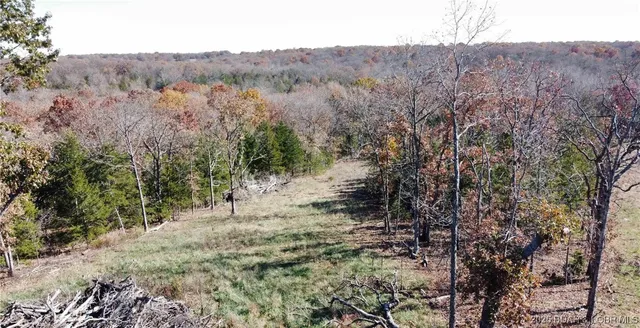$59,900 | 11.8-acres Whitetail Way, Lincoln, MO 65338