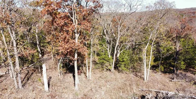 $59,900 | 11.8-acres Whitetail Way, Lincoln, MO 65338