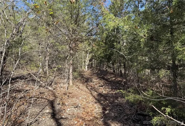 $59,900 | 11.8-acres Whitetail Way, Lincoln, MO 65338